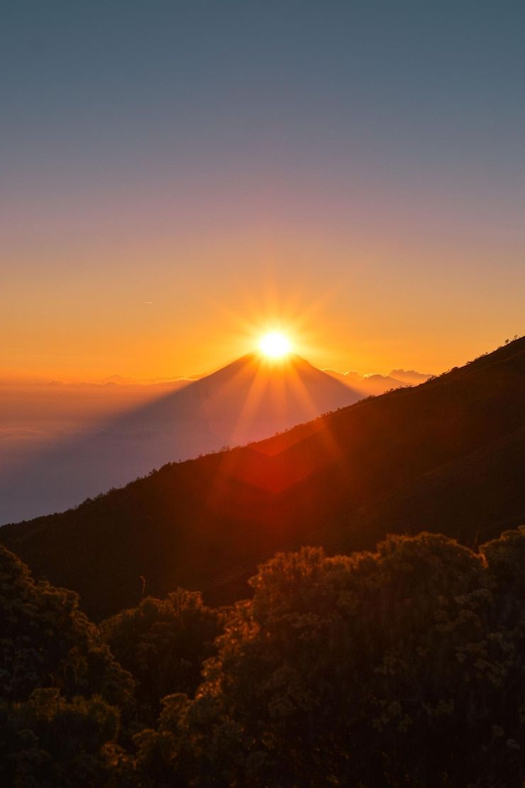 Sunset View